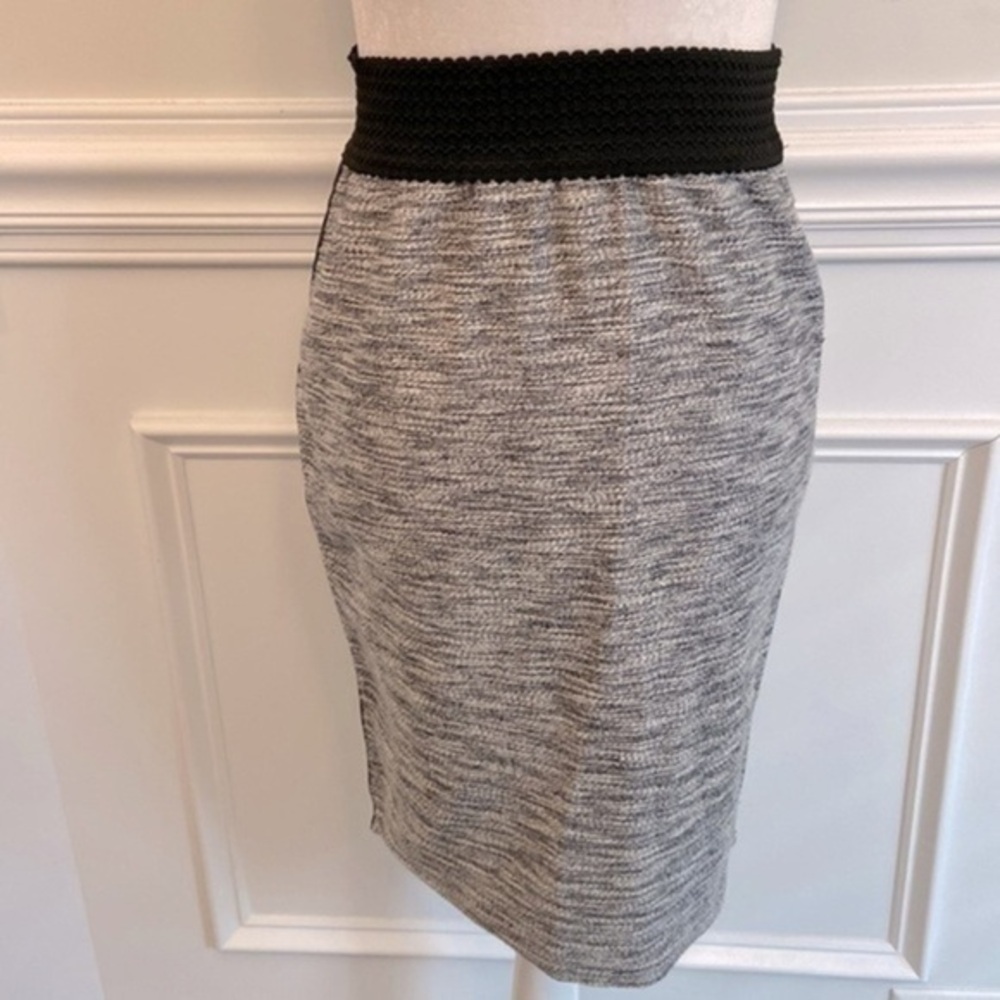 Anthropologie Skirt